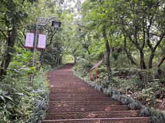 -杭州半山国家森林公园