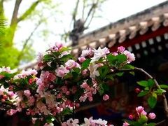 -潭柘寺景区
