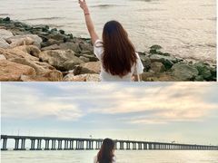 -宝安西湾红树林湿地公园