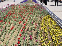 -长春公园(普阳街道)