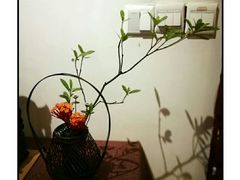 -白鹭原茶艺馆
