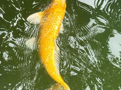 -上海虹桥宾馆(郁锦香品牌酒店)