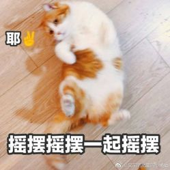 点击看大图 -上海首尔丽格医疗美容医院