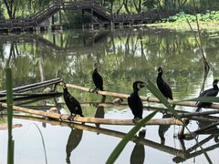 -长兴太湖图影湿地文化园