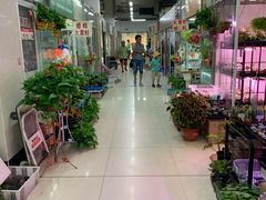 -无锡文化工艺品市场(槐古路店)