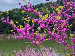 -婺源梦里老家大型山水实景演出