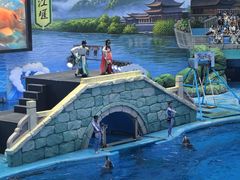 -海合安成都极地海洋公园