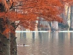 -白鹭湾湿地公园