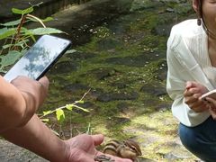 -五营红松林海景区