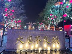 -大唐不夜城