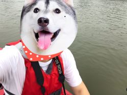 -击水俱乐部
