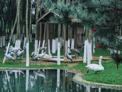 -艾溪湖湿地公园