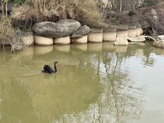 -南昌动物园