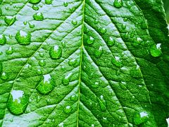 -天津东丽湖风景区