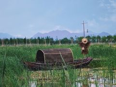 -漩门湾国家湿地公园