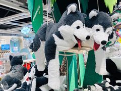 -宜家家居(高新商场店)