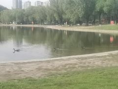 -太阳宫公园