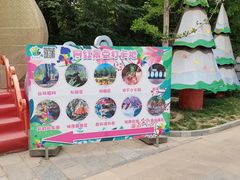 -南宫五洲植物乐园