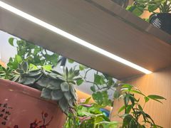 -好這口重庆小面(总店)