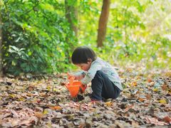 -白鹭湾湿地公园