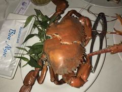 -越海渔村