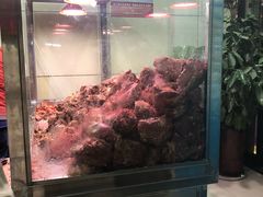 -清真铁志明腊牛羊肉