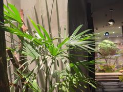-森SPA·泰式按摩·精油Massage(宝安中心店)