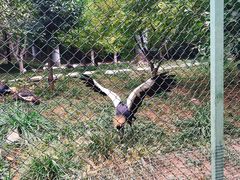 -石家庄市动物园