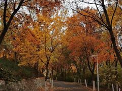 -北京园博大酒店