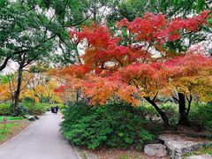 -上海滨江森林公园