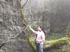 -山王坪喀斯特国家生态公园