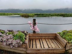 -腾冲北海湿地