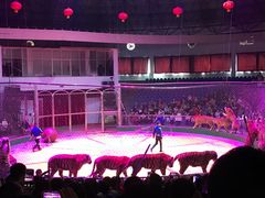 -西安秦岭野生动物园