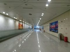 -苏州园区站