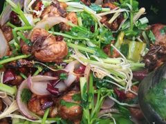 -清真重庆巴爷香辣鸡煲(南小巷店)