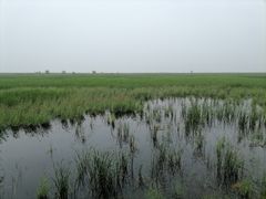 -野鸭湖国家湿地公园