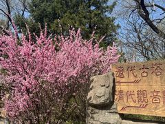 -高尔山公园