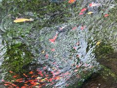 -水磨沟公园