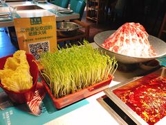 活体豆苗-五星桥原切肥牛火锅(怀德桥店)