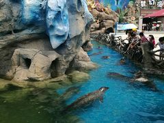 -华夏文旅海洋公园