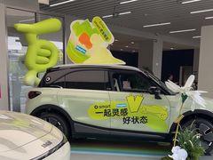-上海浦东smart汽车全功能店(金桥店)