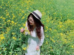 -天津武清北运河郊野公园房车露营地