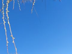 -森林公园(尖草坪区)