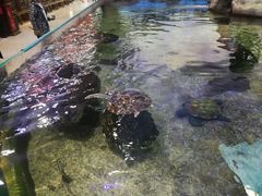 -鸿通城购物中心