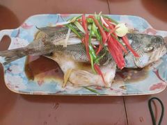 -好孕妈妈月嫂育儿嫂(锦江店)