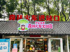 -合肥滨湖国家森林公园