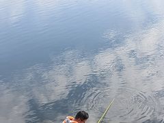 -重庆彩云湖湿地公园