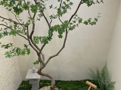 -五峰书院(南洋泾路店)