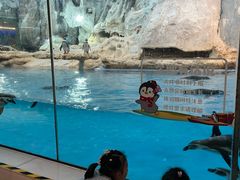 -帝企鹅自助餐厅•儿童岛•真企鹅(长隆企鹅酒店)