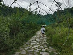 -天河潭旅游度假区